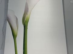 -福奈特洗衣洗鞋(海阳路店)