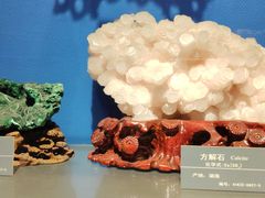 -河南自然博物馆