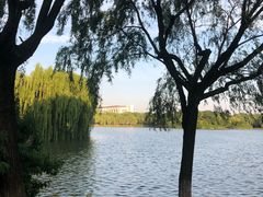 -东华大学(松江校区)
