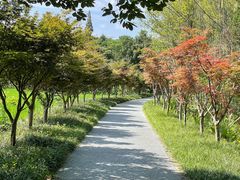 -桤木河湿地公园