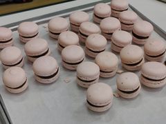 -米柚烘焙教室(新天地购物中心店)