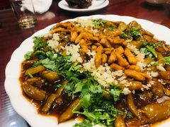 -邵年鸽(杨庄店)