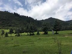 -鹞子沟国家森林公园