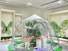 -深圳龙华星河COCO City(民治店)