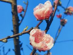 -广东花都湖国家湿地公园