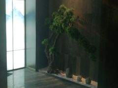 -39°·叁十九度·浴足SPA(龙湖滨江天街总店)