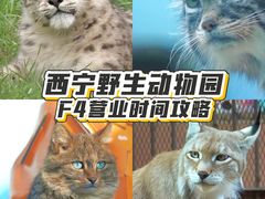 -青藏高原野生动物园