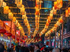 -越秀西湖花市(广州城市广场花卉店)