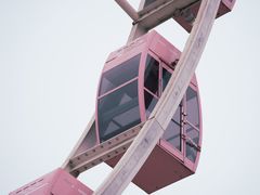 -顾村公园