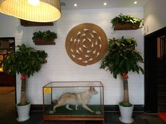 -宁海食府(大剧院店)