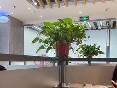 -鱼酷活鱼烤鱼(南京水游城店)