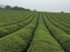 -敬亭山风景名胜区