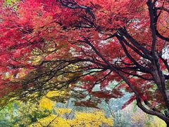 -西安市纺织公园