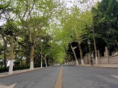-八大关景区