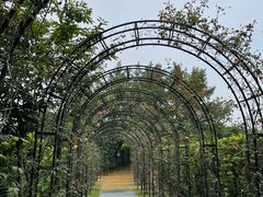 -福建鲤鱼洲酒店