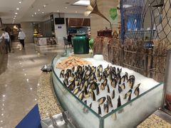 -宁波阳光豪生大酒店·豪生咖啡厅