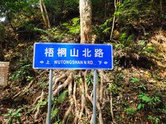 -梧桐山风景名胜区