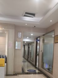 -碧莲盛·不剃发植发