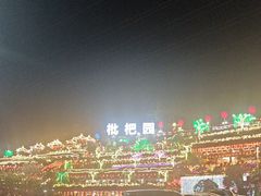 -枇杷园食为鲜火锅(南山店)