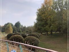 -潇河湿地公园