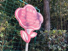 -大理地热国