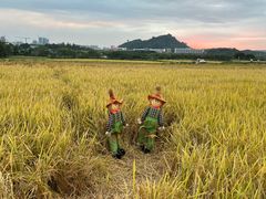-光明小镇欢乐田园