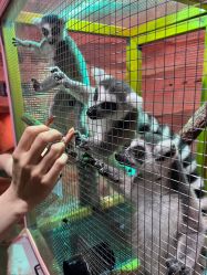 -Zoolung Zoolung动物主题公园(海信广场店)