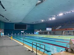 -重庆市奥林匹克体育中心-游泳跳水馆