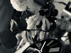 -BIJOU coffee&cocktail(龙岗万科广场店)