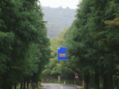 -南京市无想山景区