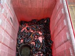 -岛中岛·海鲜大排档·万宁老字号(东澳店)