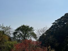 -泰山风景名胜区