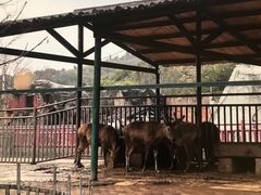 -无锡动物园·太湖欢乐园