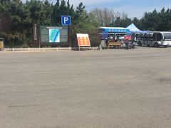 -日照海滨国家森林公园