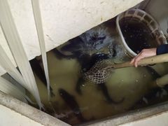 -九寨沟石锅鱼(沣峪口二十年店)