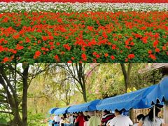 -盈香心动乐园