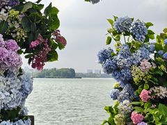 -无锡蠡湖国家湿地公园-蠡园