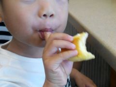 -优壹朵动物奶油生日蛋糕(大中大店)