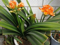 -秀水家园农家院住宿团建(石林峡店)