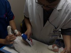 -恒幸动物医院·急重症转诊中心·神经内外科·CT核磁
