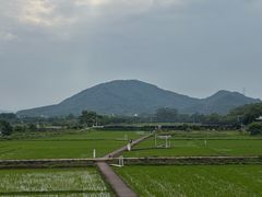 -风云岭森林公园