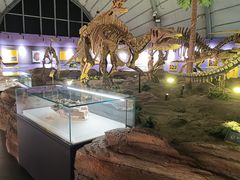 -辽宁古生物博物馆