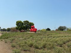 -西京湾花海