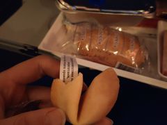 -谢列梅捷沃国际机场