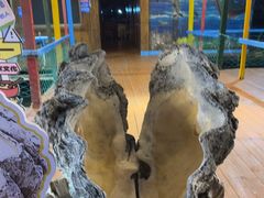 -蓝湾碧波·老字号·疍家非遗海上餐厅