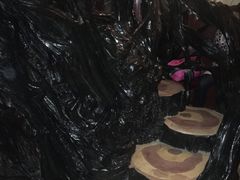 -疯狂屋