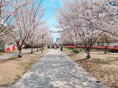 -新天地活力PARK