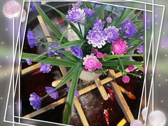 冰火九宫格老火锅-巴九门重庆老火锅(光大店)