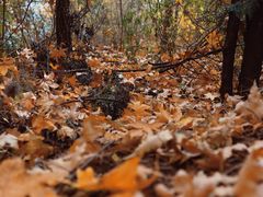 -蟠龙山长城景区