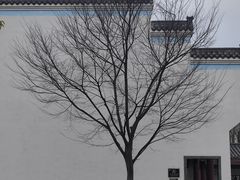 -八大山人梅湖景区